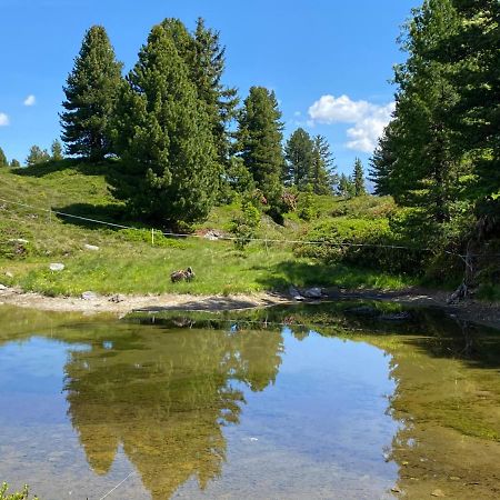 Апартаменты Landhaus Rieder Im Zillertal Aschau Im Zillertal Экстерьер фото