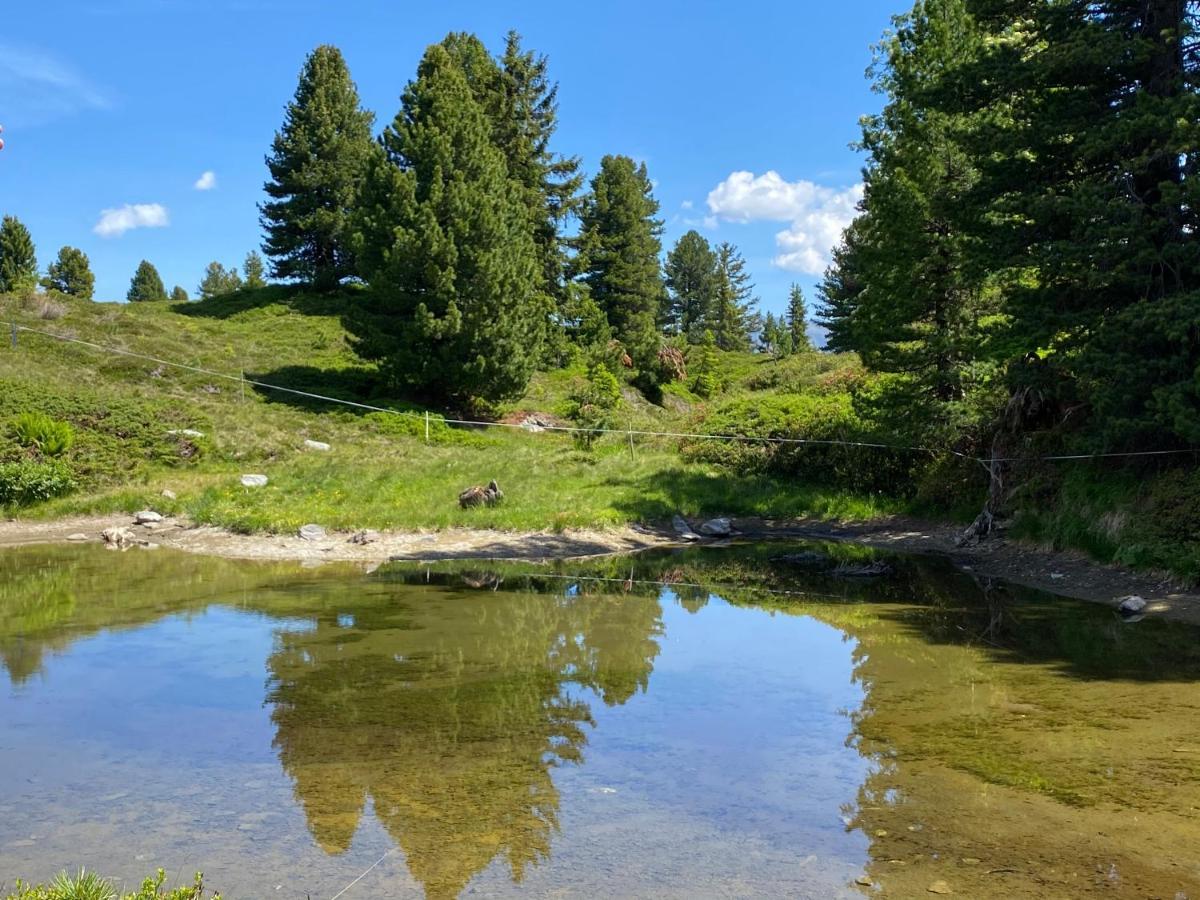 Апартаменты Landhaus Rieder Im Zillertal Aschau Im Zillertal Экстерьер фото